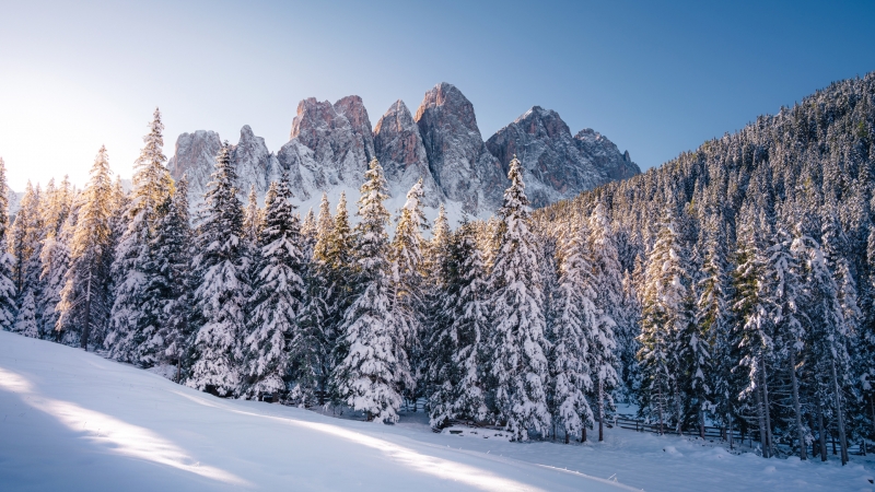 适合电脑用的高山雪景树林厚雪地动漫风壁纸