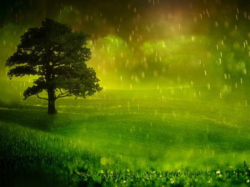 落雨风景电脑动漫桌面壁纸分享