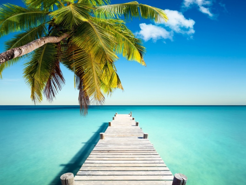 能当电脑桌面的热带海岸壁纸！蓝得像绿宝石的海搭配棕榈码头