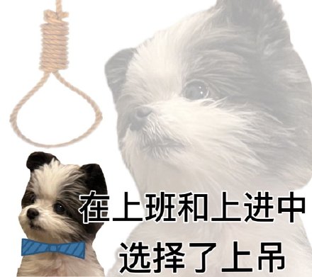 主打一个发疯！这套梗表情包火了