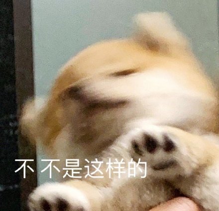 聊天斗图必备！超全小狗表情包合集来了