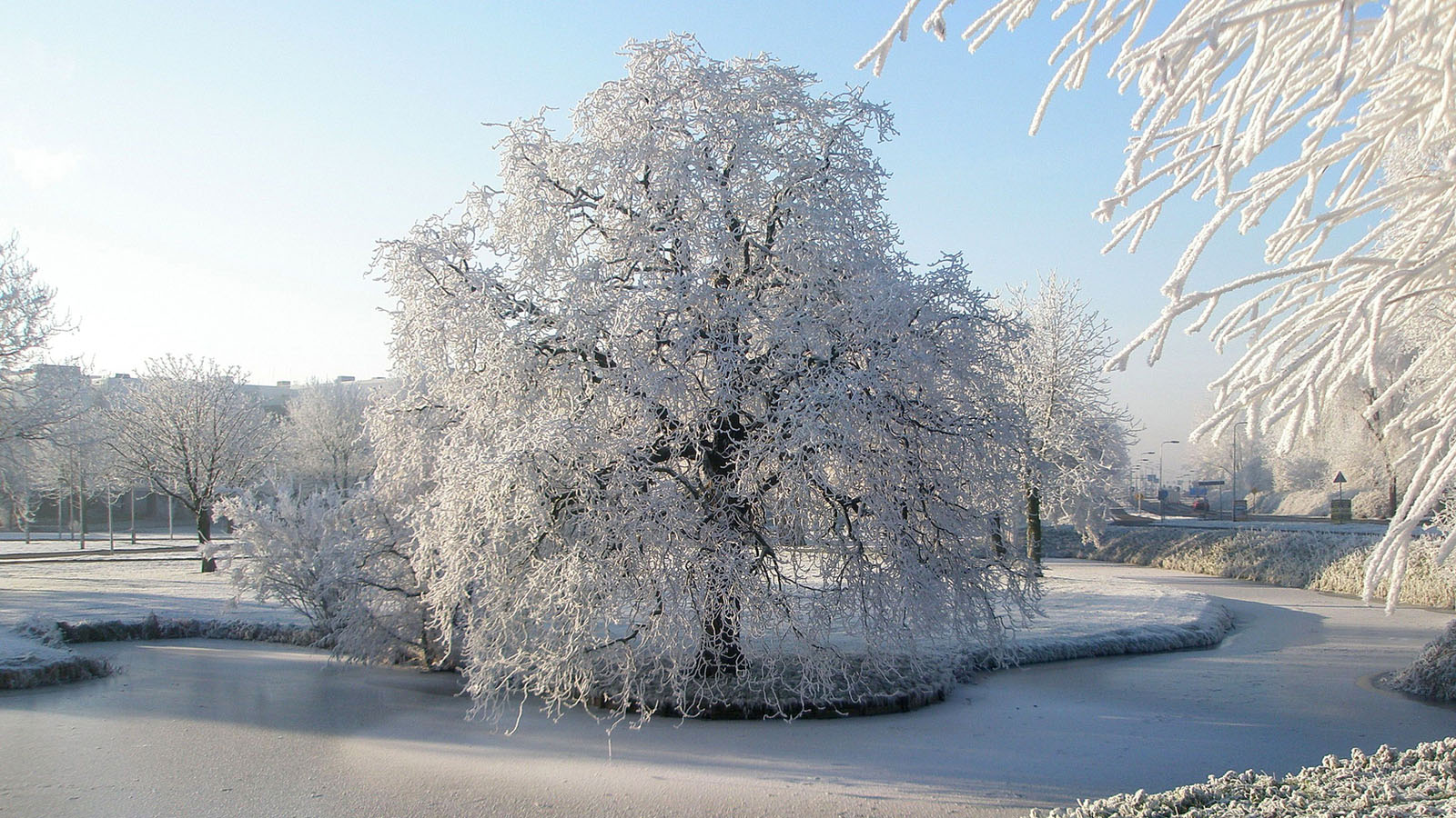 冬日氛围感拉满！多款冬季美景电脑动漫壁纸分享