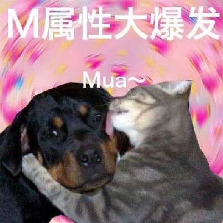 S属性M属性爆发表情包合集来了