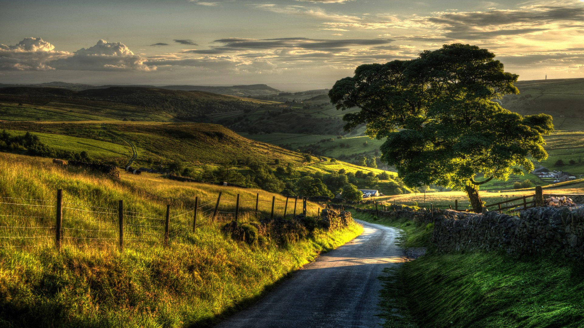 林间公路自然美景 多款尺寸宽屏电脑桌面壁纸