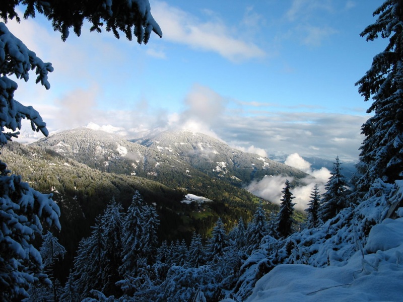 雪松山风景电脑桌面动漫壁纸分享