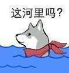 火出圈的“这河里吗”表情包到底啥梗？
