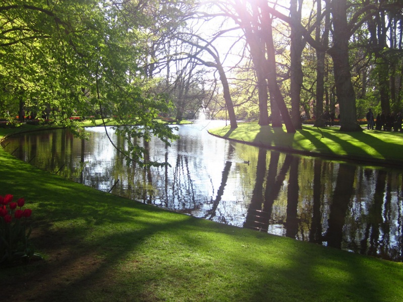 这款绿意盎然的公园风景电脑壁纸太治愈了