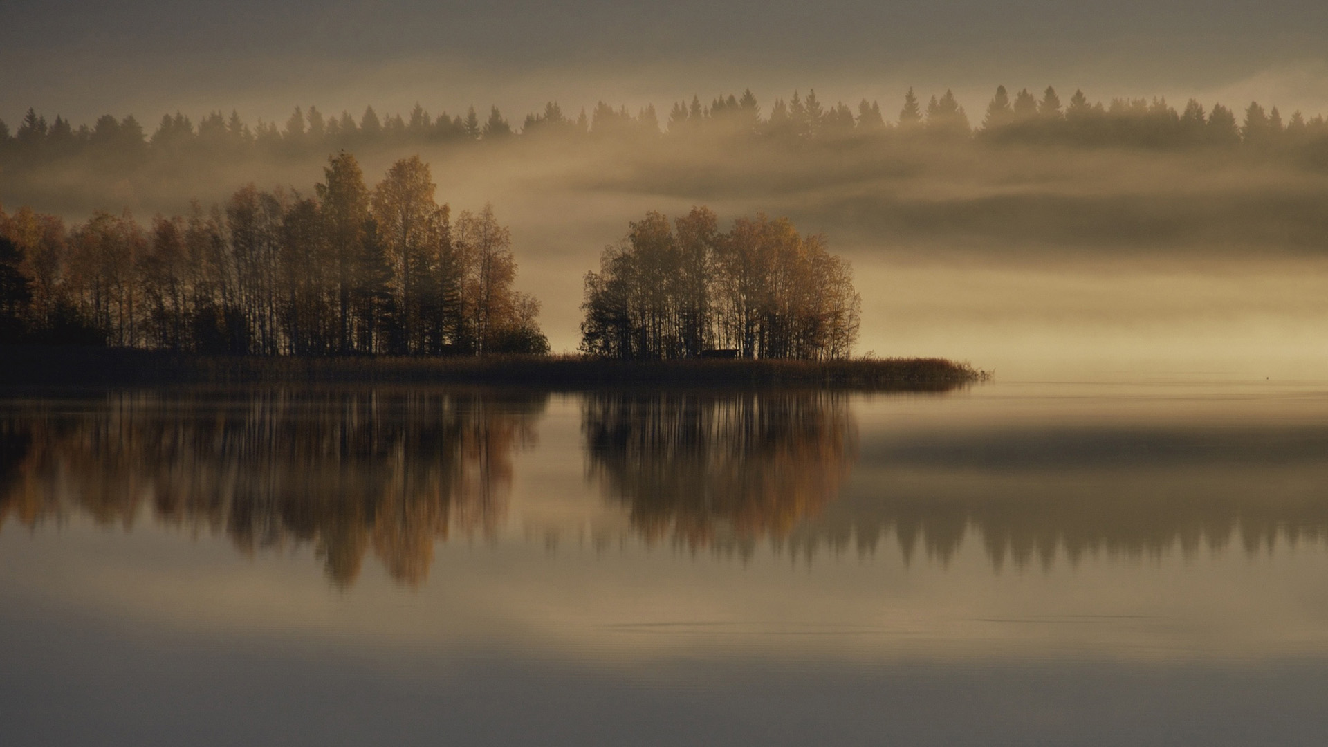 秋日湖林雾景 高清电脑动漫壁纸来了