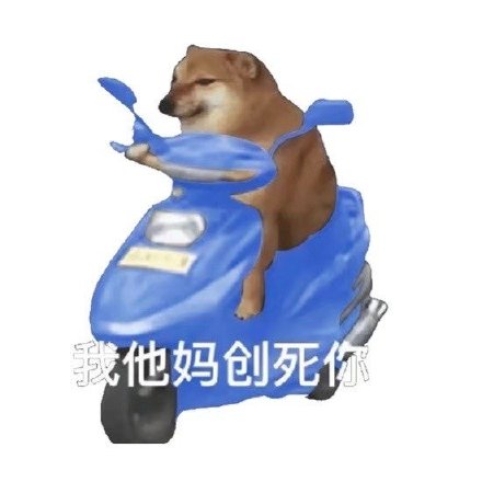 骑车狂飙的沙雕摩的狗表情包火了