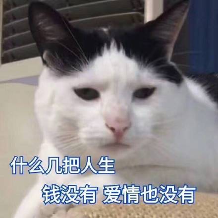 整理好的斗图表情包合集，聊天怼人再也不怕没素材