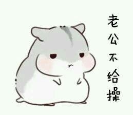 仓鼠撒娇表情包来啦！软萌仓鼠超会撩