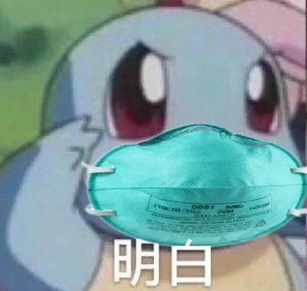 聊天斗图必备！杰尼龟表情包合集来啦