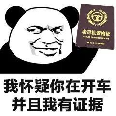 “我怀疑你...”系列熊猫头斗图表情包火了