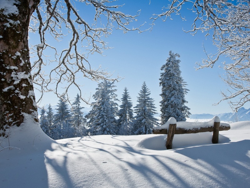 冬日雪后长椅林木风景宽屏电脑壁纸