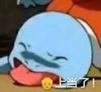 11月15日斗图表情包合集来啦