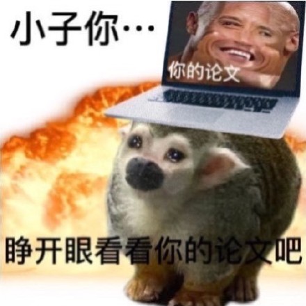 聊天斗图别愁！这套猴猴表情包帮你精准传情