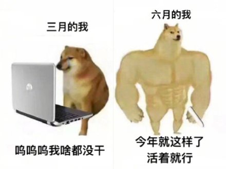肌肉Doge和小废狗表情包来了，斗图必备！
