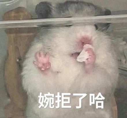 这款“婉拒了哈”表情包，斗图圈又火了