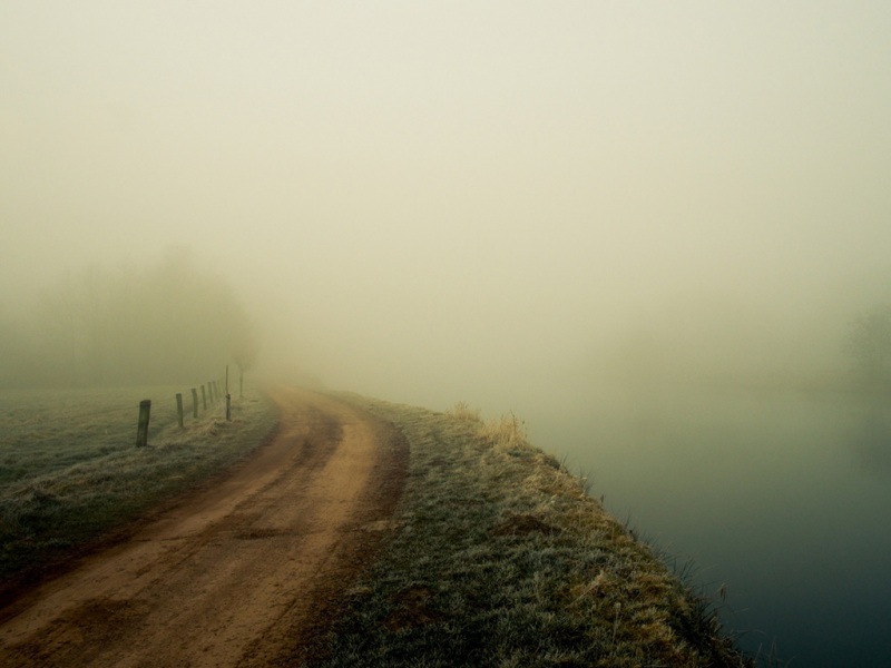 晨间雾中林路风景 适配多尺寸电脑桌面壁纸