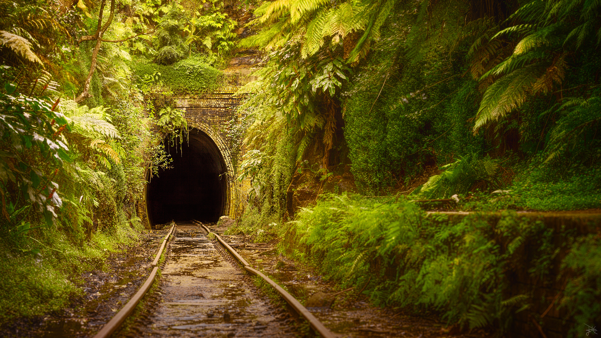 澳大利亚废弃火车轨道风景电脑壁纸上新 多款高清尺寸可选