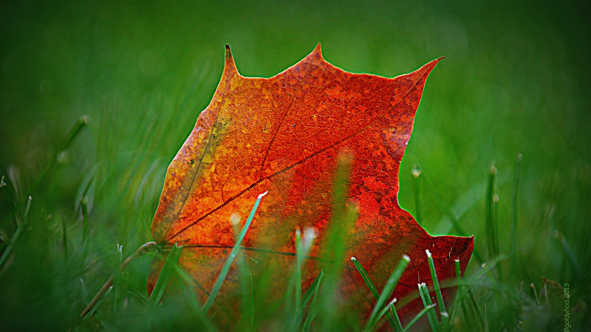 秋日草甸自然风景电脑动漫壁纸