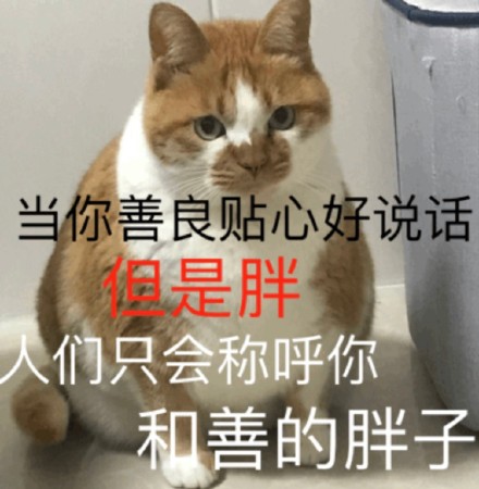 聊天斗图必备！这套猫咪表情包太好用了