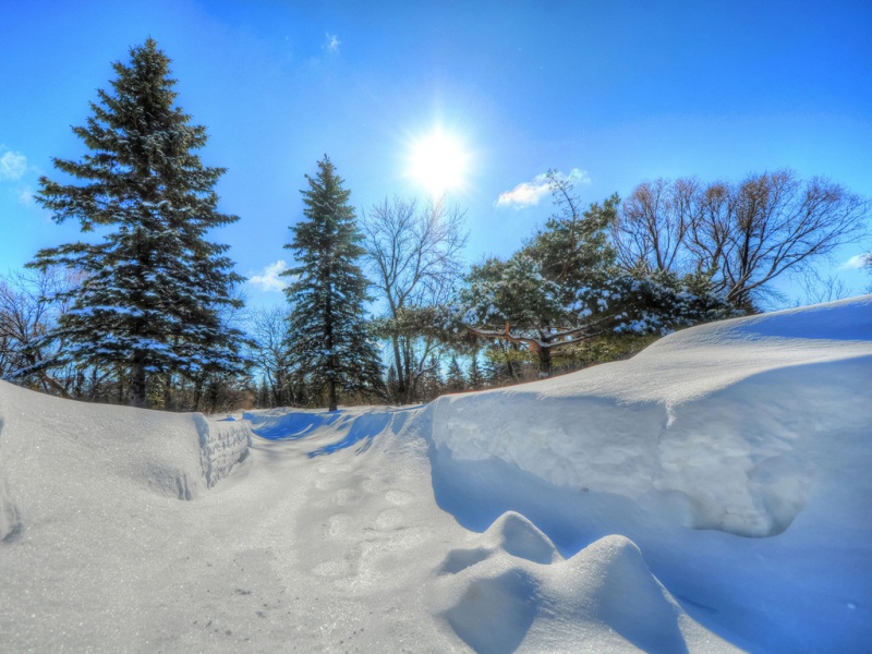 冬日暖阳雪景电脑壁纸 适配多尺寸高清桌面背景