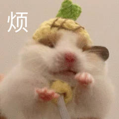 聊天斗图别愁！这套小仓鼠表情包直接封神