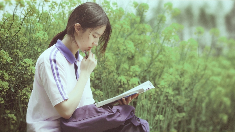 刘亦菲置身油菜花田看书 清纯氛围感壁纸分享