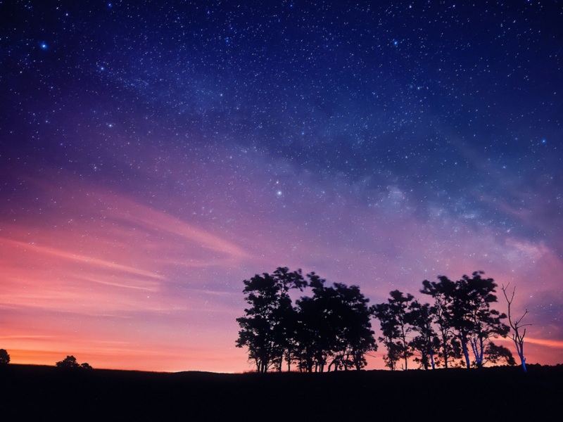 氛围感拉满！深夜星空林木电脑动漫壁纸合集