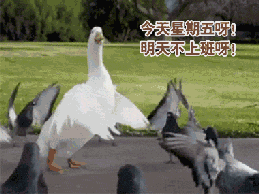 周五摸鱼狂喜！这套表情包帮你精准吐槽明天不用上班的快乐