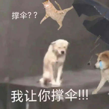 最近聊天总在用的斗图表情包合集