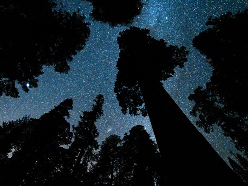 这款蓝天白云树木壁纸 适配多种电脑屏幕尺寸