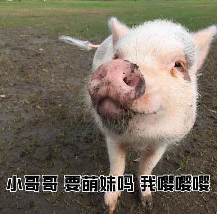 小姐姐搭讪小哥哥的表情包合集来啦