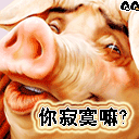 妹子斗图必备！这套软萌小动物表情包赶紧收好