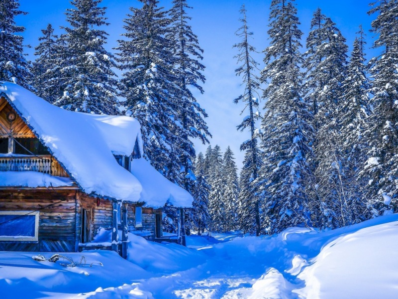 冬日森林大雪木屋风景电脑动漫壁纸
