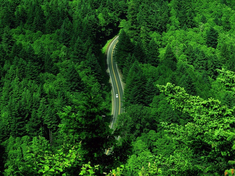 航拍公路风景电脑桌面动漫壁纸