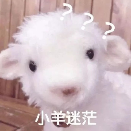 聊天斗图新选择！小羊表情包系列来啦
