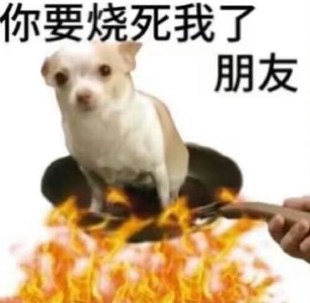 最近聊天斗图都在用的热门表情包整理