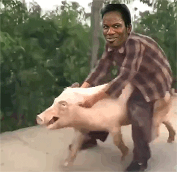 教皇换脸沙雕动图表情包合集