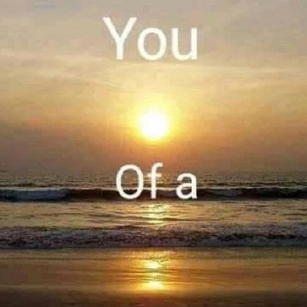 1月6日斗图表情包精选合集