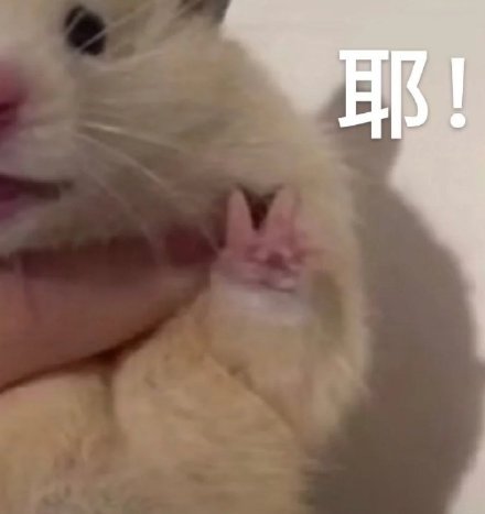 9月3日最新热门表情包合集