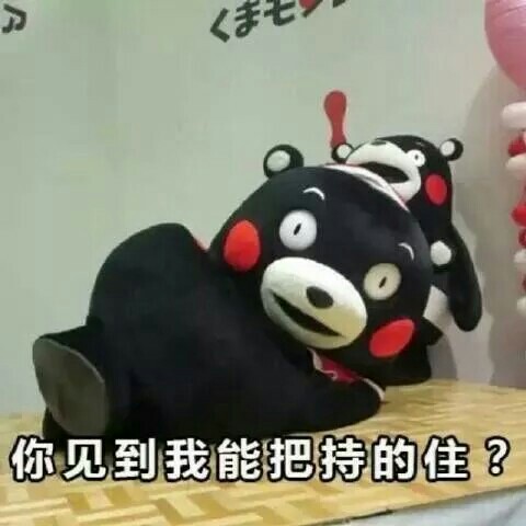 用熊本熊怼人表情包斗图？这套素材刚好适配