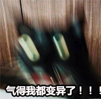 气得我都糊掉了 热门斗图表情包合集