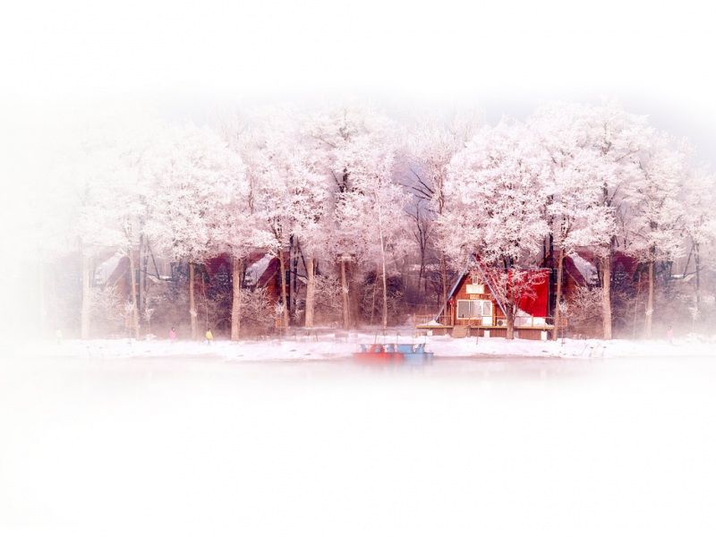 治愈感拉满！这款暖冬动漫桌面壁纸太戳人了