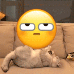 小猫咪踹小黄脸表情包合集