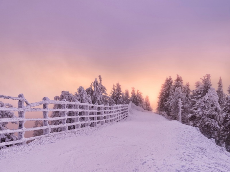 罗马尼亚布拉索夫冬日雪林栅栏风景壁纸来了