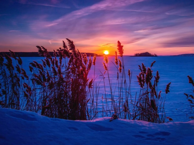这款冬日雪景夕阳壁纸 适配多尺寸电脑桌面
