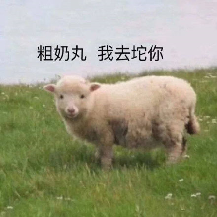聊天斗图新选择！小羊表情包系列来啦