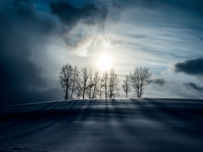 雪夜月光林木云景 多款高清电脑动漫壁纸可选